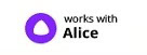 S Deal.eu Alice Smart Assistant 1 - eWelink контакти